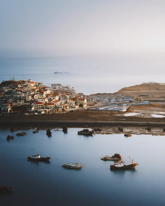 Harbor in Stillness
