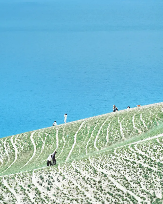 Edge of the Dune