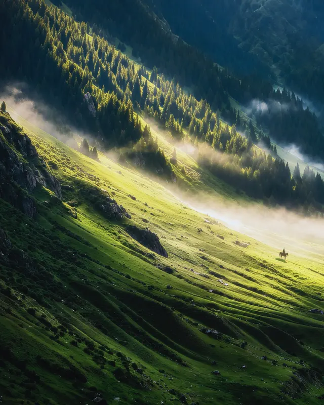 Morning on the Slope